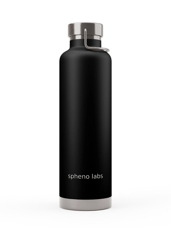Insulated Water Bottle — product view